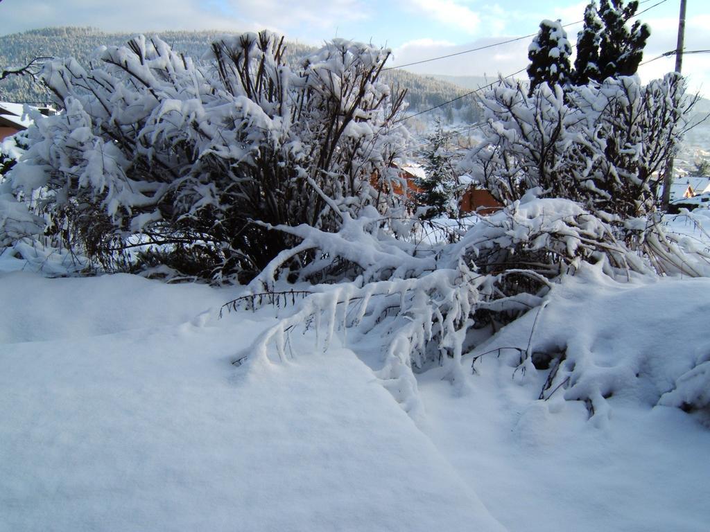 B&B Chalet L'Epinette Gérardmer Zewnętrze zdjęcie