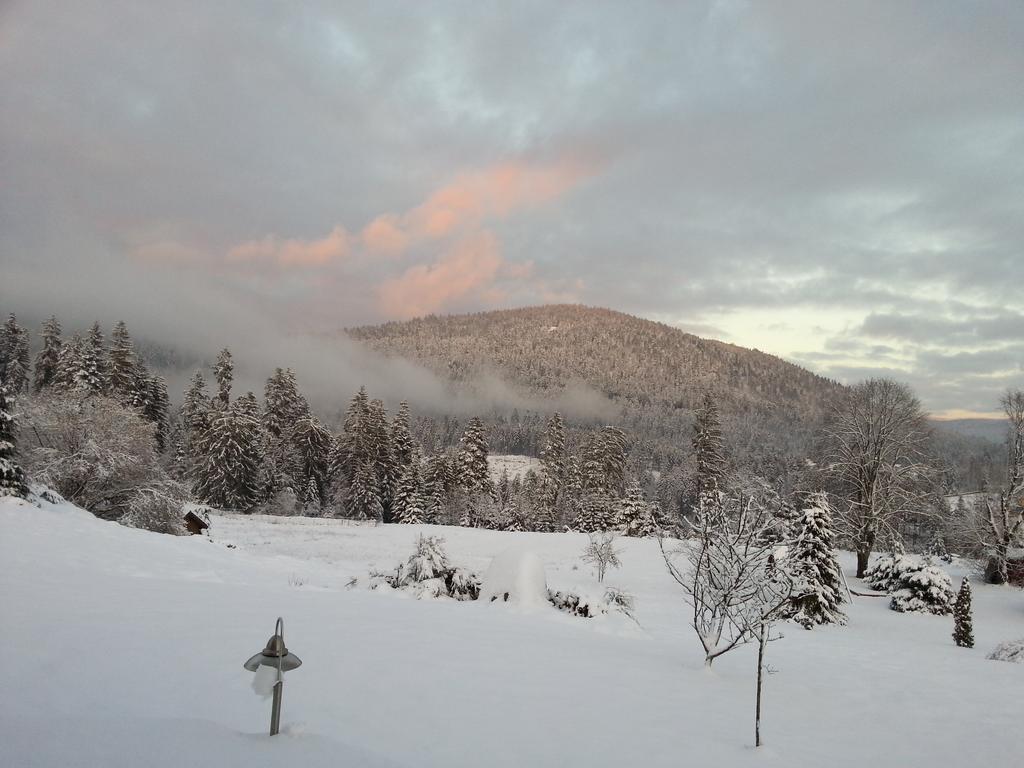 B&B Chalet L'Epinette Gérardmer Zewnętrze zdjęcie