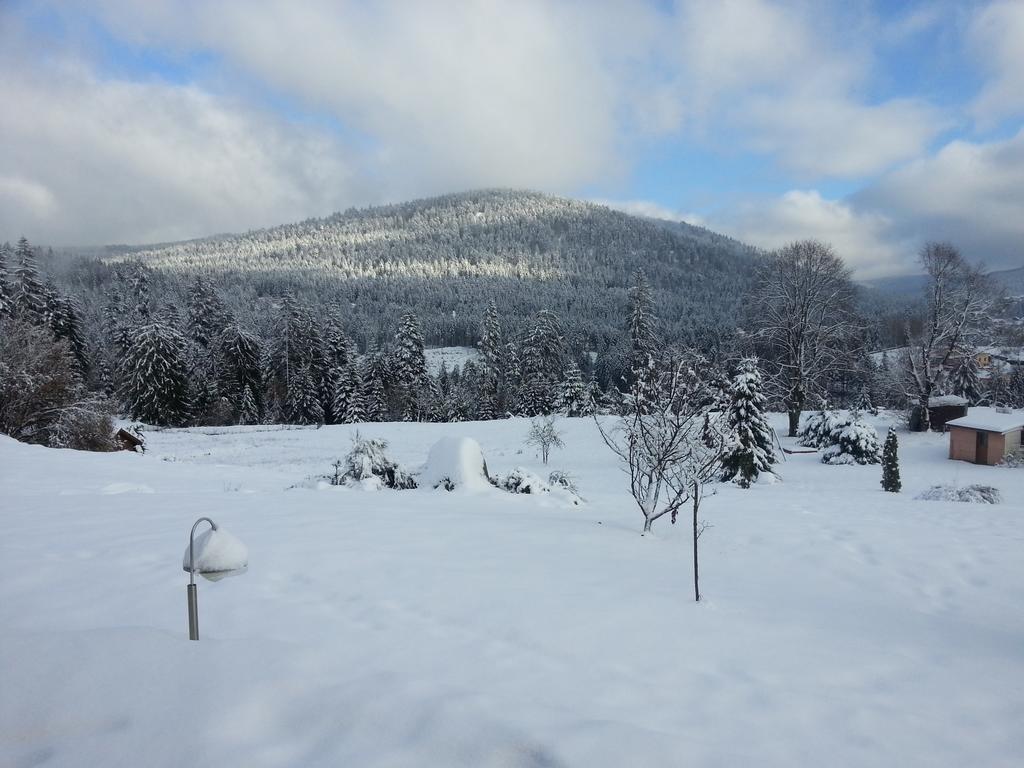 B&B Chalet L'Epinette Gérardmer Zewnętrze zdjęcie